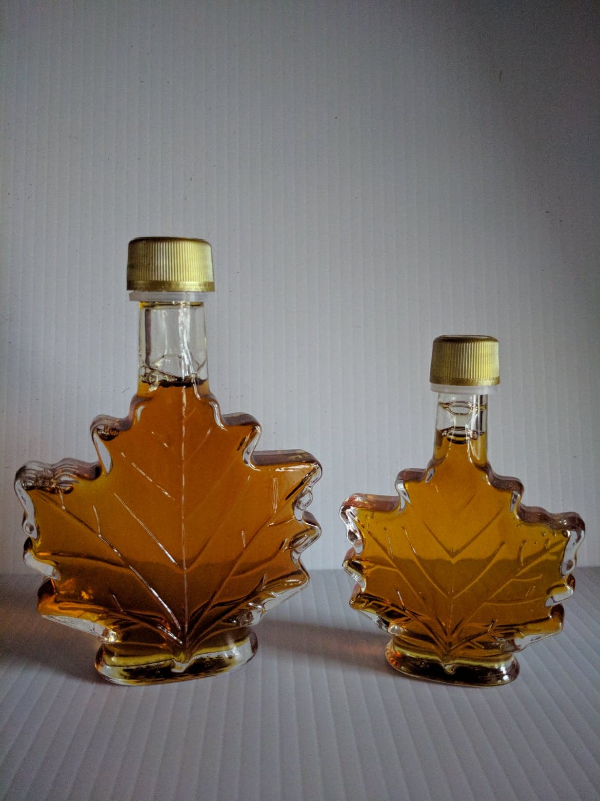 SPOUT TIME MAPLE